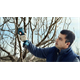 Snoeischaar - Accu Bosch Pro Pruner